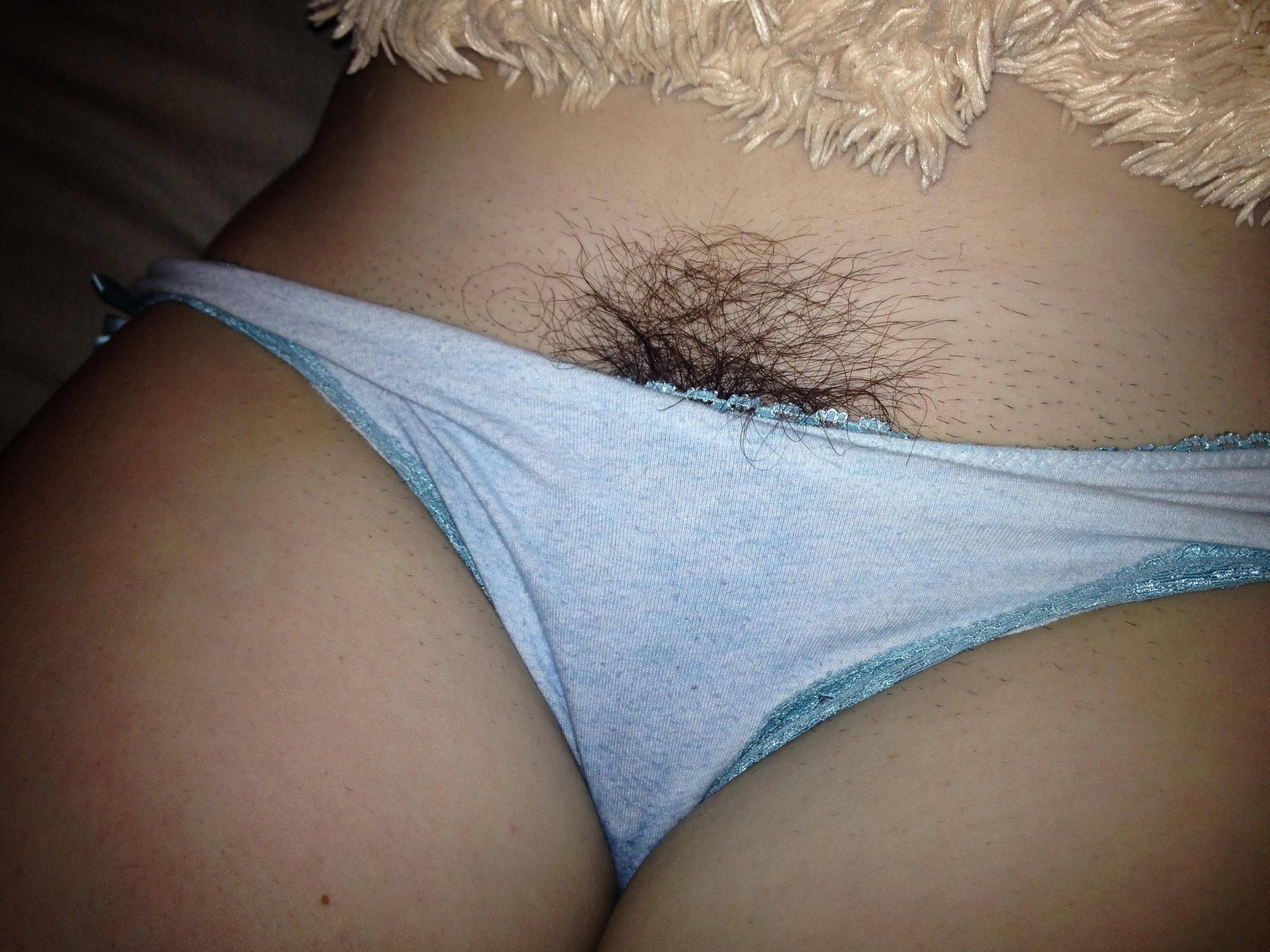 Husky recomended knickers blue