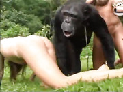 Gorilla fuck girl