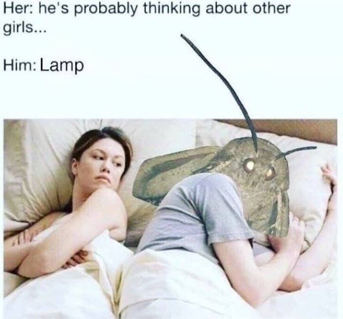 Giant onto someone moth