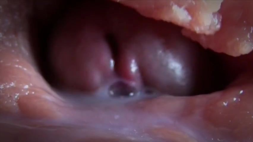 best of Inside orgasm vagina from filmed